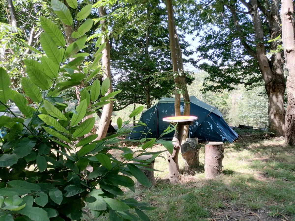 La Finca - Campamento En La Naturaleza Carranceja エクステリア 写真