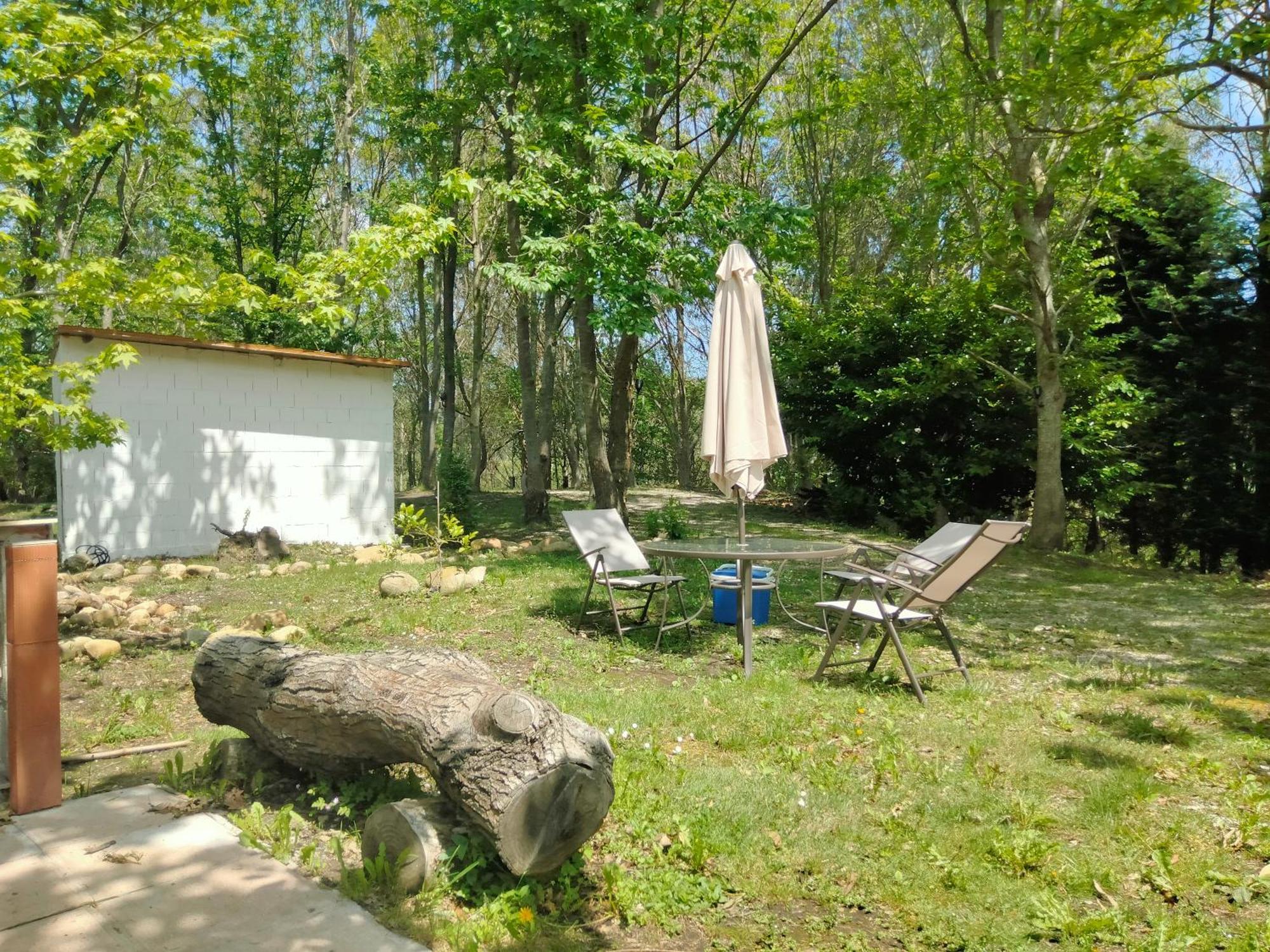 La Finca - Campamento En La Naturaleza Carranceja エクステリア 写真