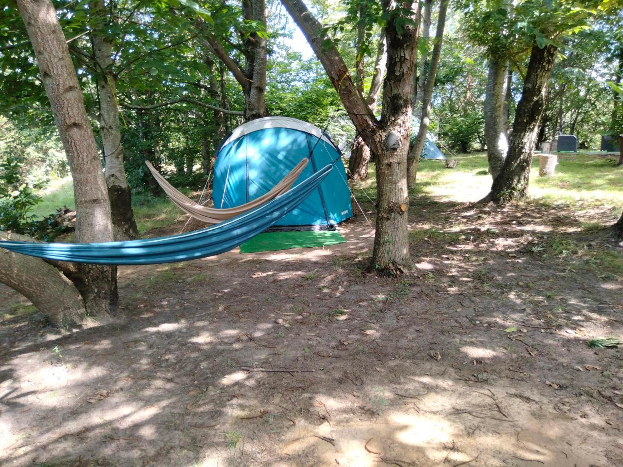 La Finca - Campamento En La Naturaleza Carranceja 部屋 写真