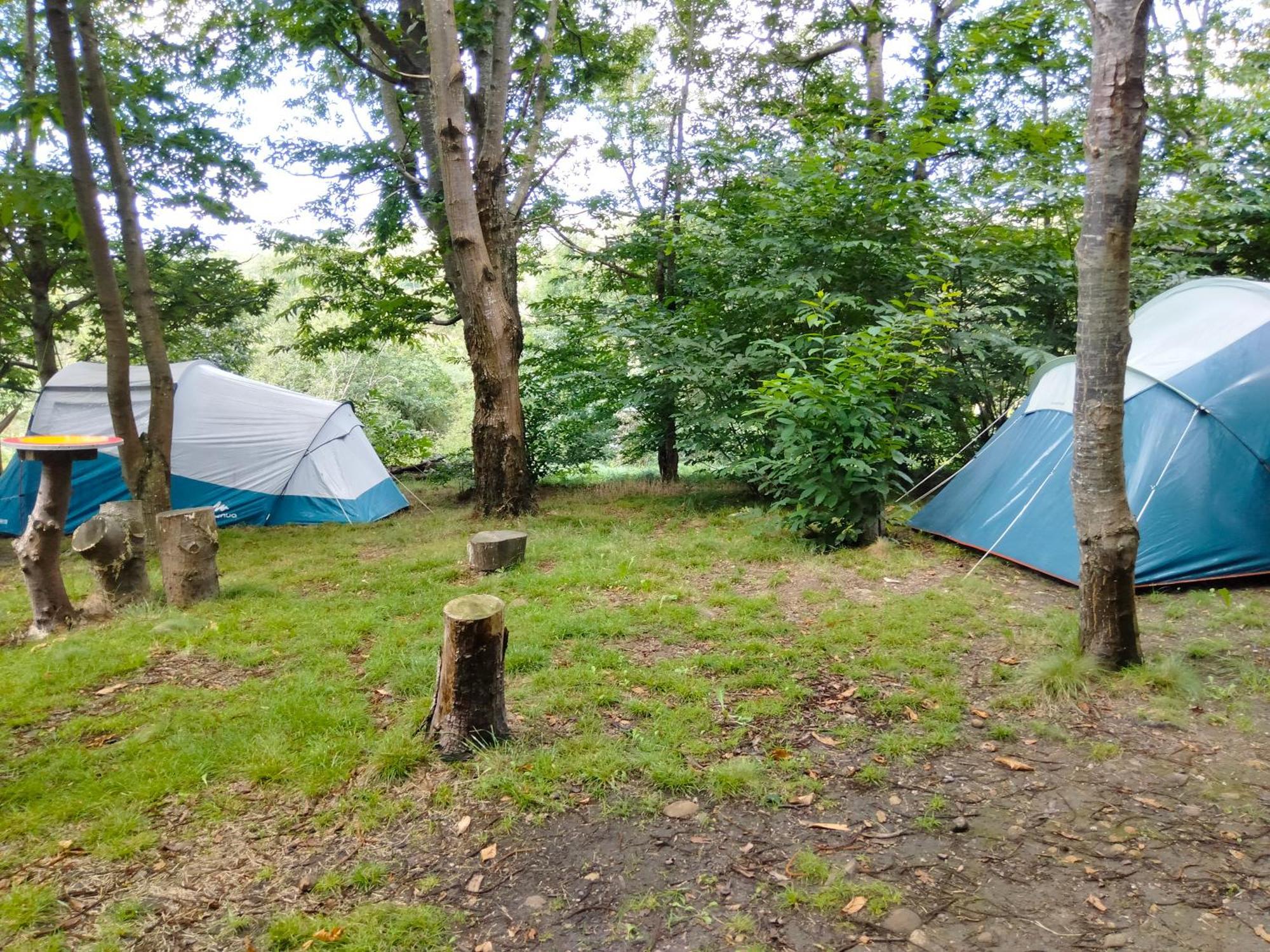 La Finca - Campamento En La Naturaleza Carranceja 部屋 写真