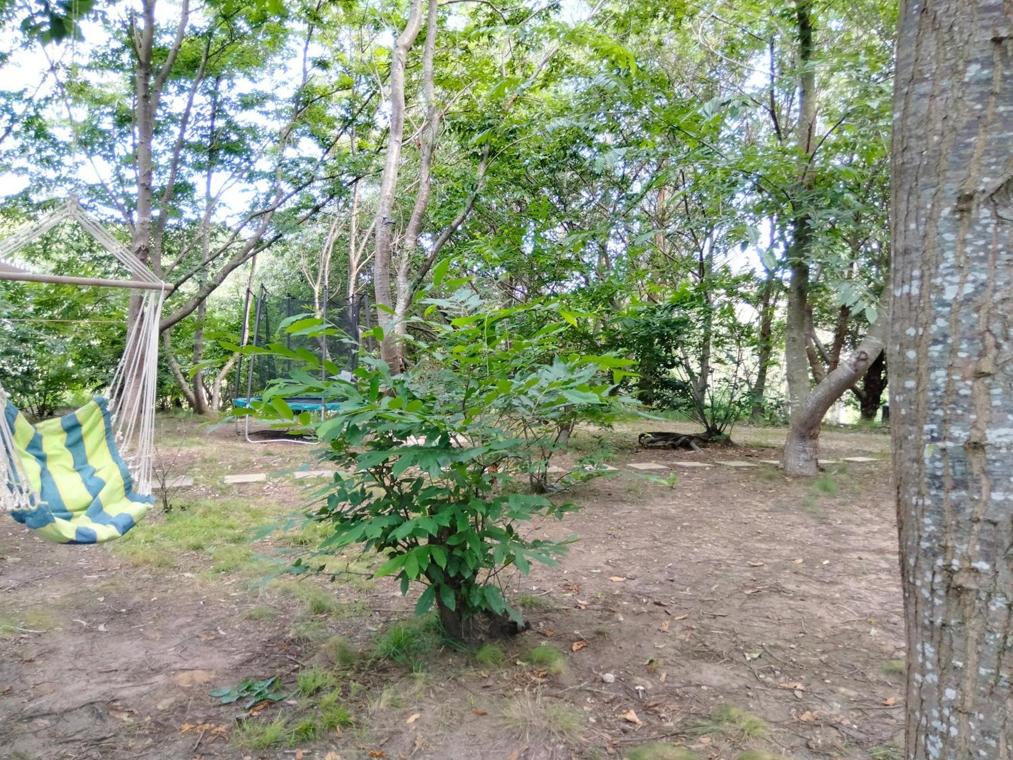 La Finca - Campamento En La Naturaleza Carranceja 部屋 写真